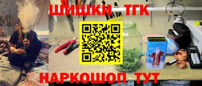 ECSTASY Камышлов
