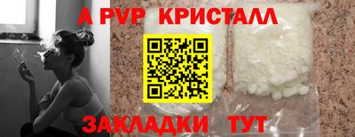 ECSTASY Камышлов
