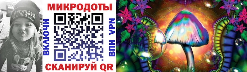 Псилоцибиновые грибы мицелий  где купить   Петрозаводск 