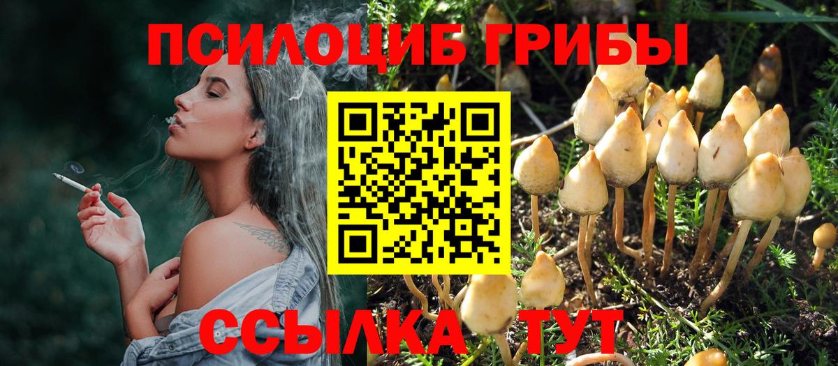 Петрозаводск  Псилоцибиновые грибы Psilocybine cubensis  Псилоцибиновые грибы прущие грибы  Вход с VPN 