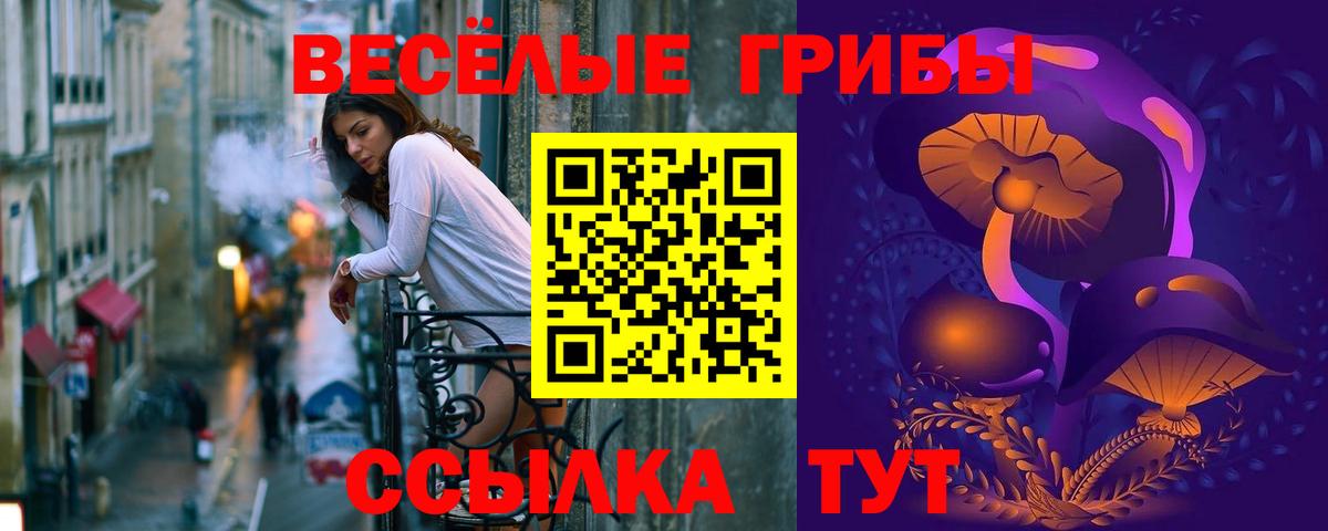 Псилоцибиновые грибы Cubensis Петрозаводск